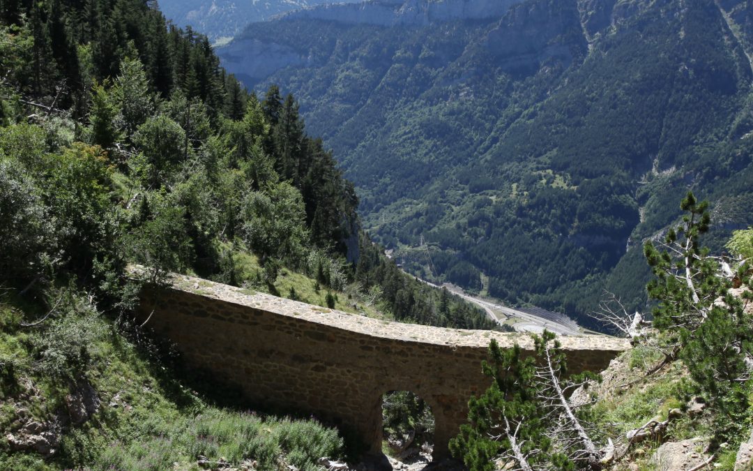 Excursión guiada en agosto al monte de los Arañones