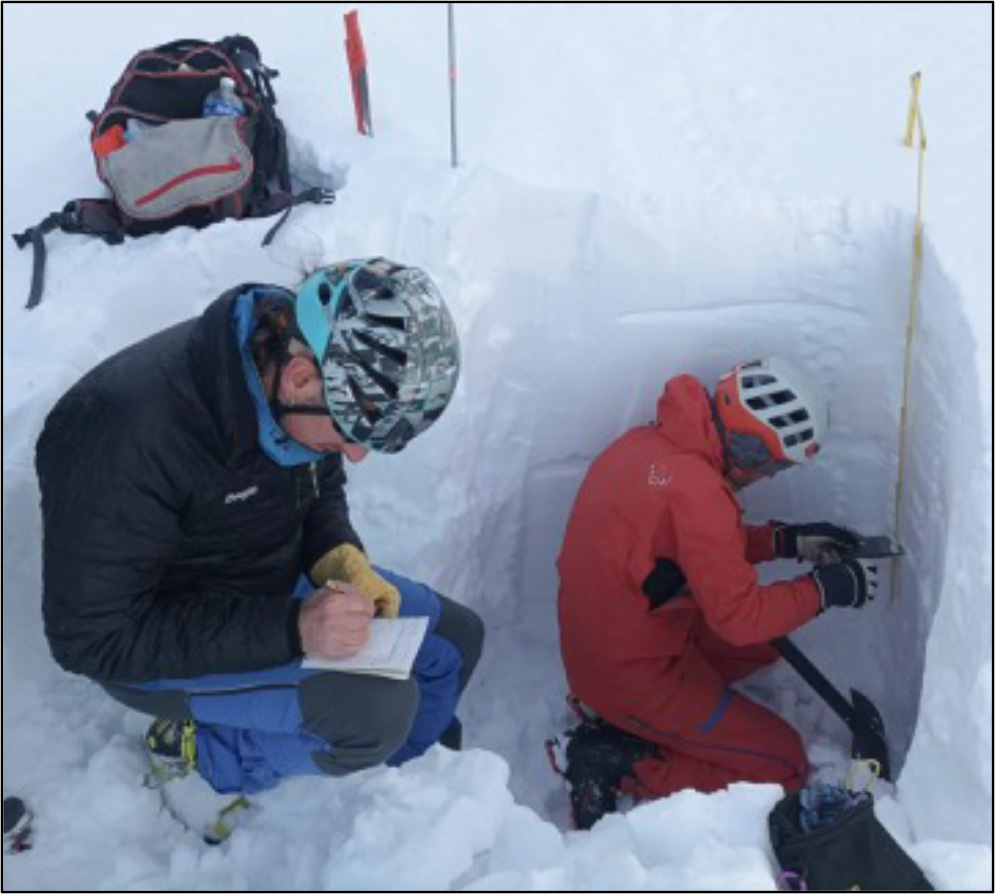 Los principales problemas de aludes se han referido habitualmente a las placas de viento en condiciones de nieve seca. Estos problemas han sido los dominantes en cotas altas (>2.000 m). Los problemas de nieve húmeda han sido dominantes en cotas bajas y laderas soleadas.